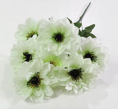 Георгин «Кельвин» 7 цветков от магазина KALINA являющийся официальным дистрибьютором в России 