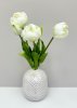 Тюльпан "Круглый" белый