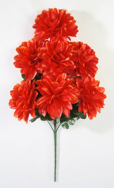 Георгин "Виталина" 7 цветков