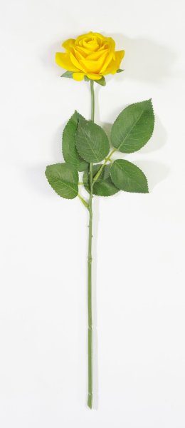 Роза с латексным покрытием открытая желтая