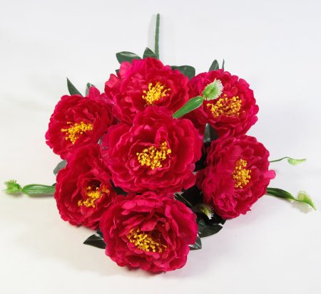 Букет пиона "Сапфир" 7 цветков