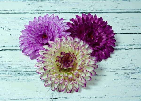 Насадка георгина