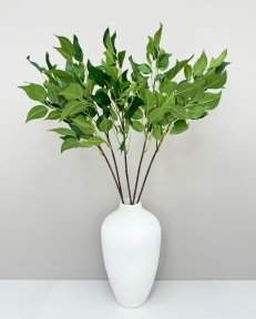 картинка Ветка фикуса "Эко-грин" от магазина KALINA