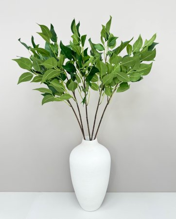 картинка Ветка фикуса "Эко-грин" от магазина KALINA