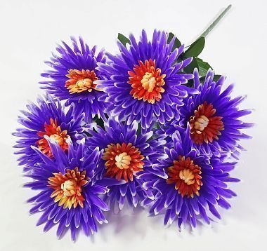 Астра "Сантана" 7 цветков от магазина KALINA являющийся официальным дистрибьютором в России 