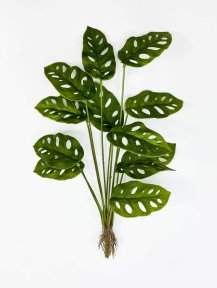 картинка Монстера Обликва Манки Маск 12 листов от магазина KALINA