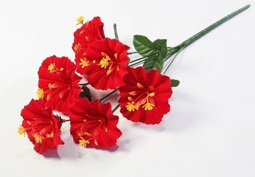 Бархатная лилия "Архат" 6 цветков от магазина KALINA являющийся официальным дистрибьютором в России 