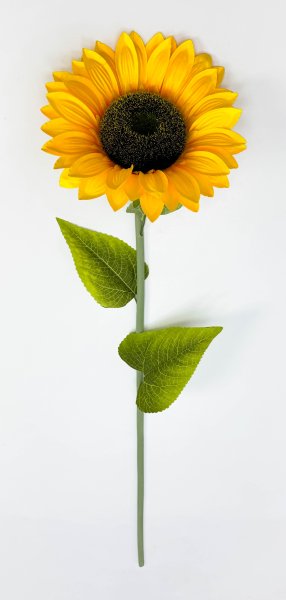 Подсолнух "Золотой август" 1 цветок