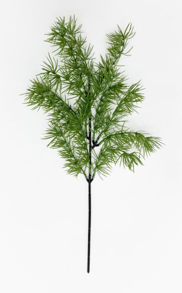 картинка Бонсай лиственница ветка светлая от магазина KALINA