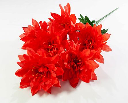 Георгин "Великан" 6 цветков от магазина KALINA являющийся официальным дистрибьютором в России 