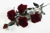 Ветка розы "Алая заря темно-красная" 4 цветка 1 бутон