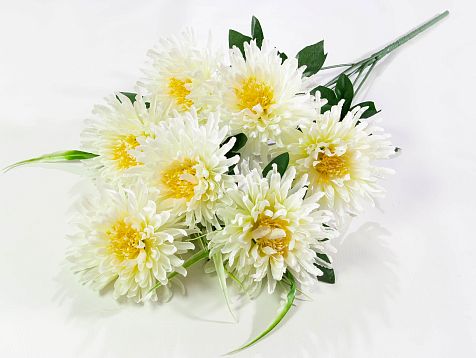 Астра "Бельгийская" 7 цветков от магазина KALINA являющийся официальным дистрибьютором в России 