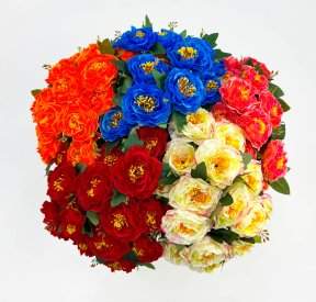 Пион "Арабелла" 15 цветков