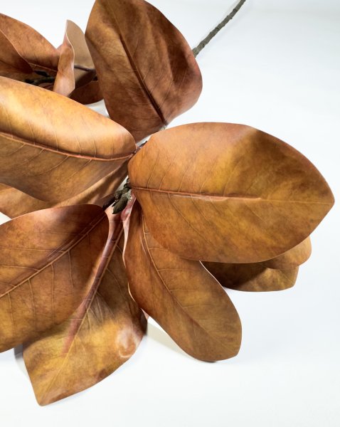 картинка Ветка магнолии "Осень" 17 листов от магазина KALINA