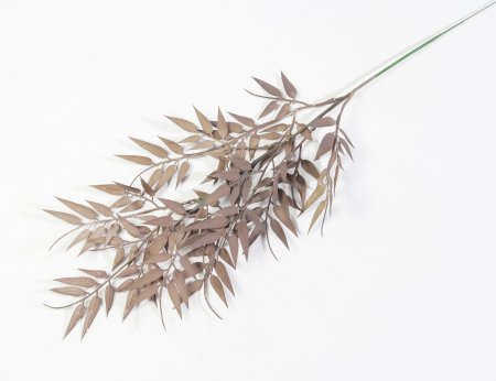 Ветка бамбука осенняя