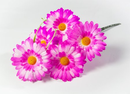 Букет ромашки "Аэлита" 5 веток 5 цветков