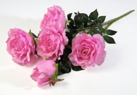 Ветка розы "Кармен" 4 цветка 1 бутон