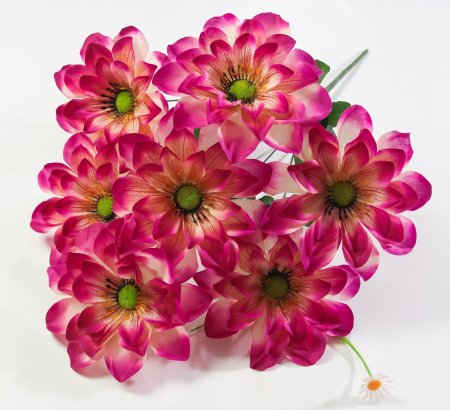 Букет георгина "Полюшко" 7 цветков