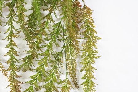 картинка Ампельная зелень Антея осень от магазина KALINA