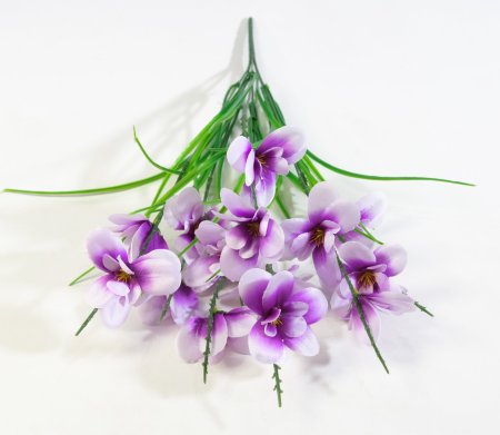 Орхидея "Ветерок малый" 14 цветков