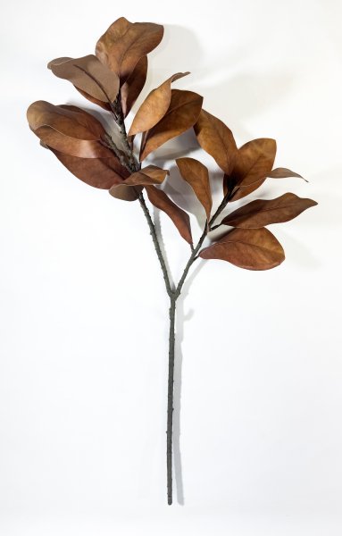 картинка Ветка магнолии "Осень" 17 листов от магазина KALINA
