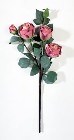 Ветка пионовидной розы "Октава" индийский красный