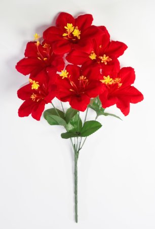 Лилия "Виолетта" 6 цветков