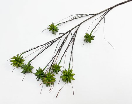 картинка Декоративная ветка "Суккулент грин" от магазина KALINA