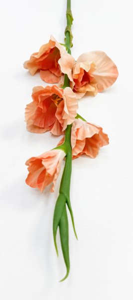 Гладиолус "Цветочный калейдоскоп" персиковый