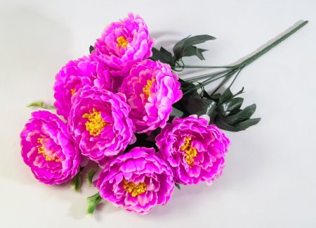 Букет пиона "Сапфир" 7 цветков