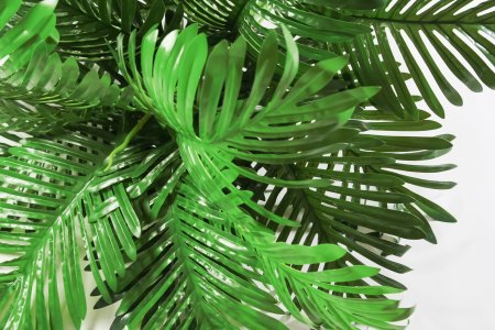 картинка Ветка пальмы крупная от магазина KALINA