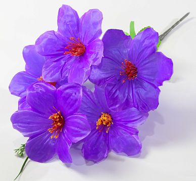 Лилия "Серебряная чаша" 5 цветков от магазина KALINA являющийся официальным дистрибьютором в России 