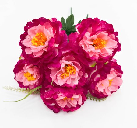 Пион "Лаки" 6 цветков