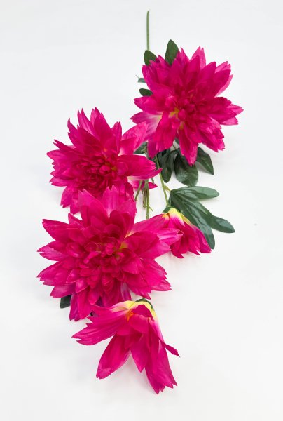 Георгин "Садовая классика" 3 цветка 2 бутона