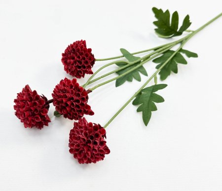 Георгин помпонный бордовый