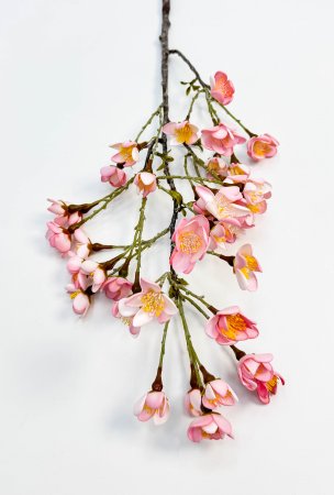 Сакура "Японская" розовая