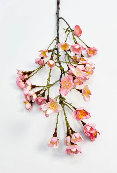 Сакура "Японская" розовая