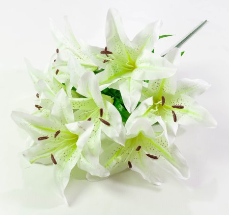 Лилия "Арабская ночь" 7 цветков