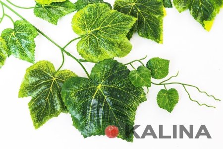 картинка Лист винограда 3 ветки от магазина KALINA