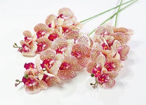 Ветка орхидеи 5 от магазина KALINA являющийся официальным дистрибьютором в России 