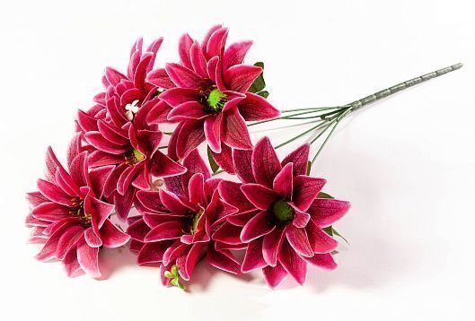 Букет астры "Жилка" 6 цветков от магазина KALINA являющийся официальным дистрибьютором в России 