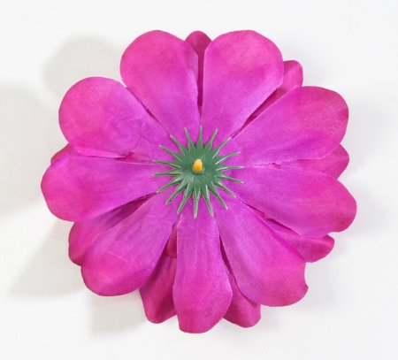 Насадка георгина Полюшко