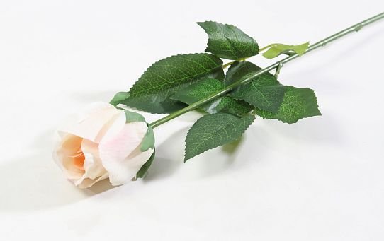 Роза с латексным покрытием малая "Ла Перла" от магазина KALINA являющийся официальным дистрибьютором в России 