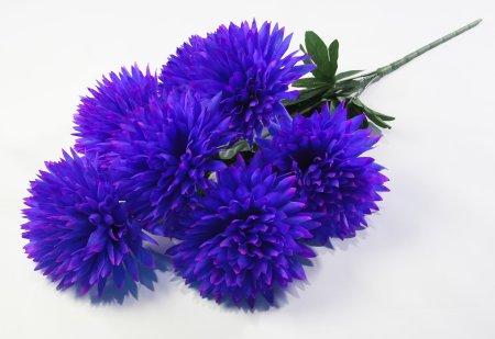 Букет хризантемы "Талисман" 7 цветков