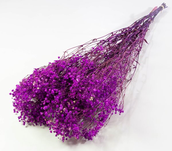 Гипсофила 5