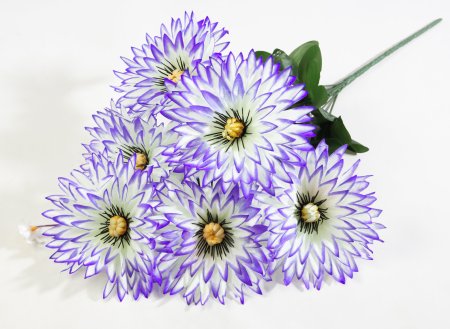 Букет астры " Краб"