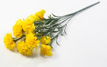 Букет гвоздик "Вечная память"