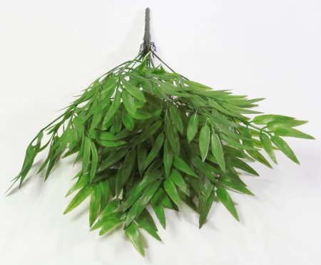 картинка Ветка бамбука от магазина KALINA