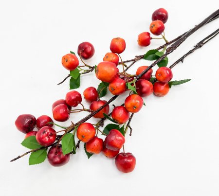 Ветка ранетки 10 плодов