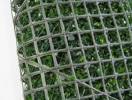 картинка Газон брусника от магазина KALINA